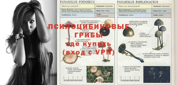 кокаин перу Белокуриха