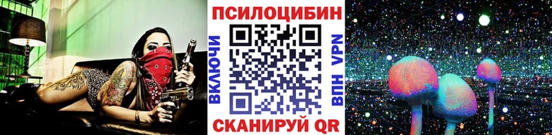 Купить закладки  Морозовск  Псилоцибиновые грибы мицелий 